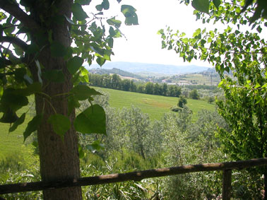 Toscana Florencia Siena Pisa Apartamentos en Agroturismos, Haciendas campestres y Casas rurales